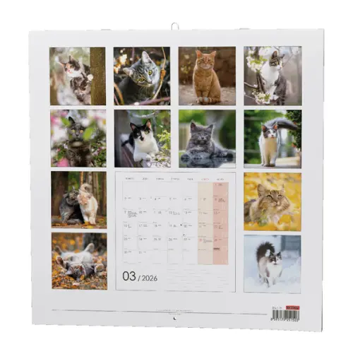 Kalendář nástěnný Kočky