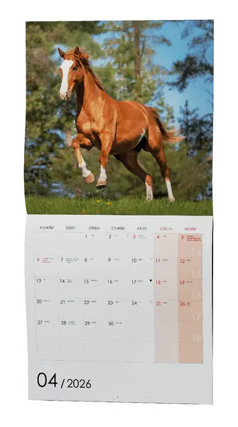 Kalendář nástěnný Koně