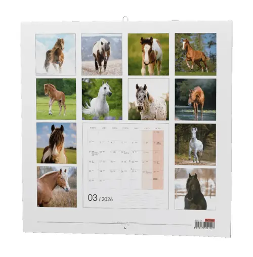 Kalendář nástěnný Koně