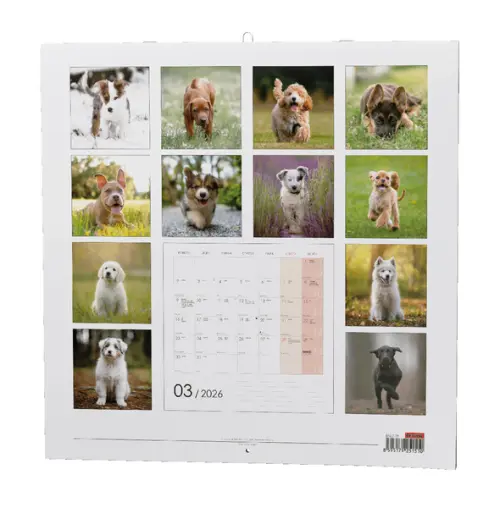 Kalendář nástěnný Štěňata