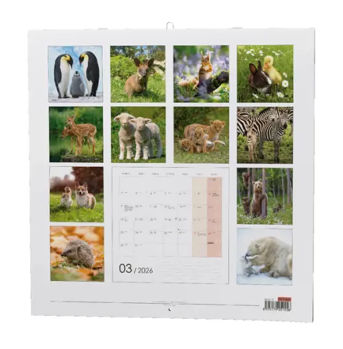 Kalendář nástěnný Zvířátka
