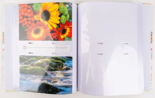 Fotoalbum B-46200 Abloom 2