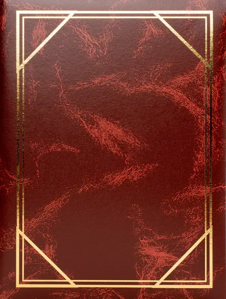 Fotoalbum B-46200 Vinyl 2 hnědé