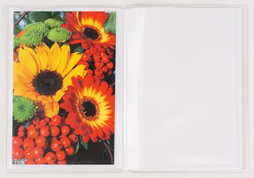 Fotoalbum P2-4624 Moments mix