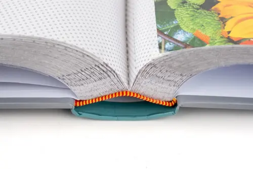 Fotoalbum B-46300/2S Flow 2