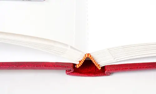 Fotoalbum BSS-20 Vinyl 1