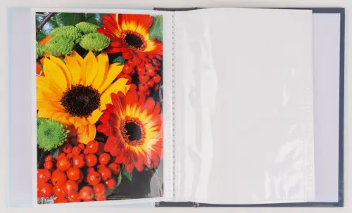 Fotoalbum DPH-4636 Lens 1