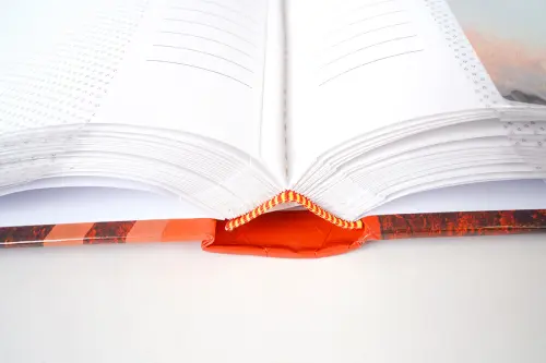 Fotoalbum B-46300S Ray 2