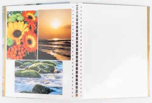 Fotoalbum DRS-30 Goldie 1