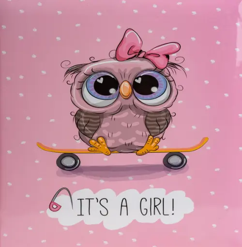 Fotoalbum B-46500SB Owl 2 růžové PL