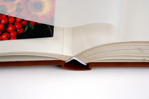 Fotoalbum DBCL-30 Homage 1