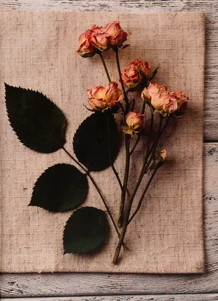 Fotoalbum B-46200S Wooden 3 růže PL