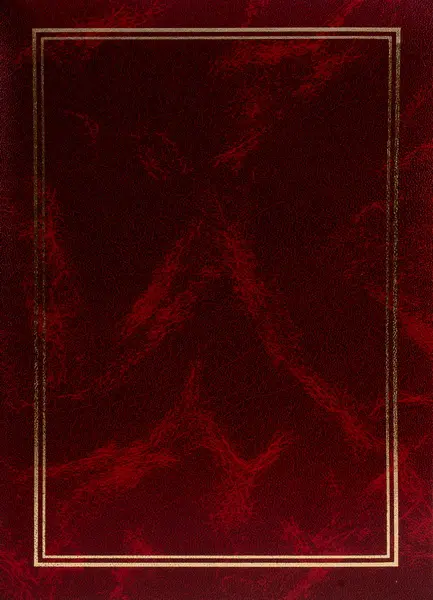 Fotoalbum B-46300/2S Vinyl 1 vínové PL