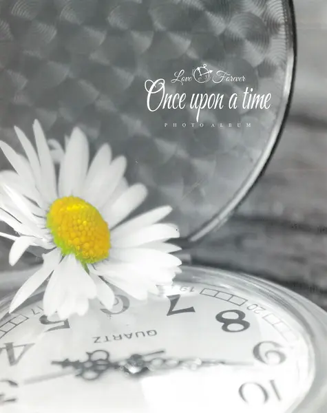 Fotoalbum P2-4664 mix PL