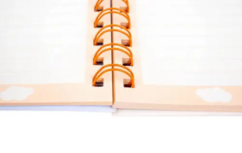 Zápisník B6 Capybara mix