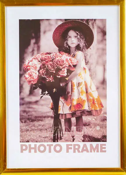Fotorámeček Simple 2 50x70 4 zlatý