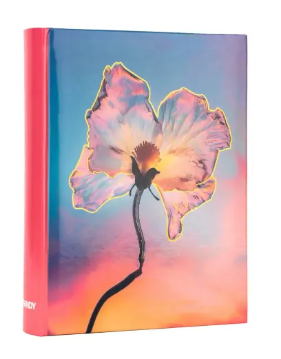 Fotoalbum B-46200S Silky 1