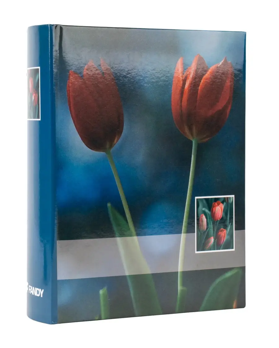 Fotoalbum B-46300/2S Magic 2