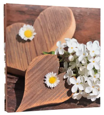 Fotoalbum DBLP-30 Firry 2