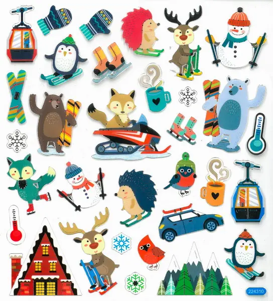 Samolepky papírové DPNK-113 zimní sporty DP