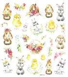 1507-dpnk-119!m