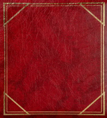 Fotoalbum B-6850S Vinyl 1 vínové