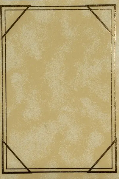 Fotoalbum B-35300/2S Vinyl 5 béžové