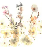 2045-dpnk-265!m