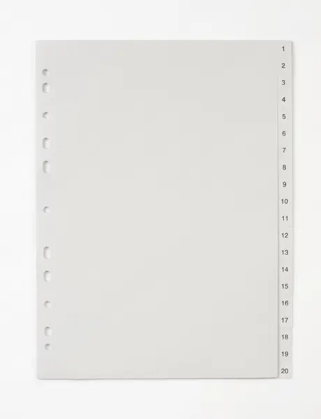 Rozlišovač A4 1-20 PP šedý