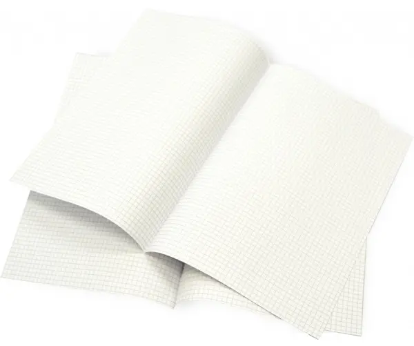 Papír čtverečkovaný A4 dvoulist