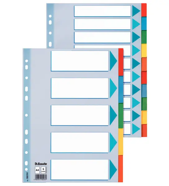 Rozlišovač A4 12 barev kartonový