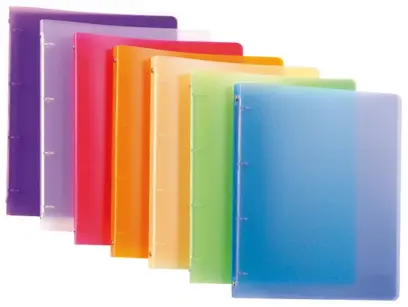 Pořadač 2 kroužkový 20 mm PP Opaline čirý