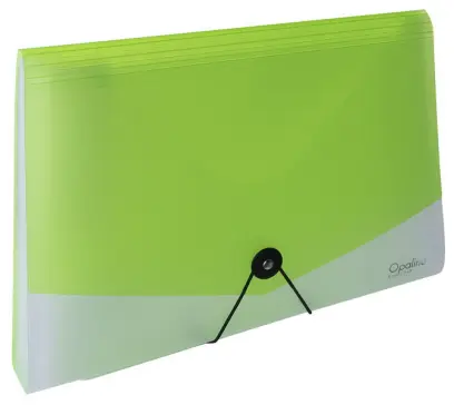 Organizér na dokumenty A4 13 kapes zelený