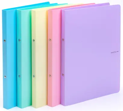 Pořadač 2 kroužkový 20 mm PP Pastelini fialový