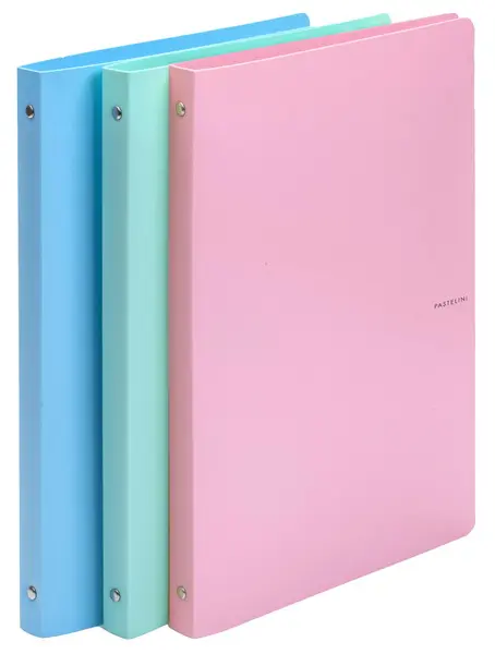 Pořadač 4 kroužkový 20 mm A5 Pastelini růžový