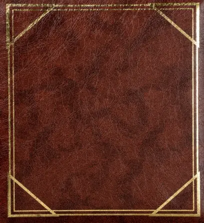 Fotoalbum B-5750S Vinyl 2 hnědé