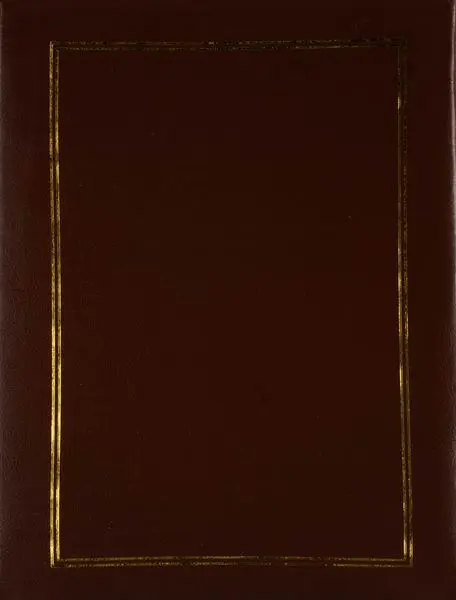 Fotoalbum DRS-10 Vinyl 2 hnědé PL