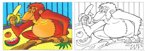 Omalovánky A5 Navštivte ZOO MFP