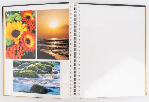 Fotoalbum DRS-30 Goldie 2