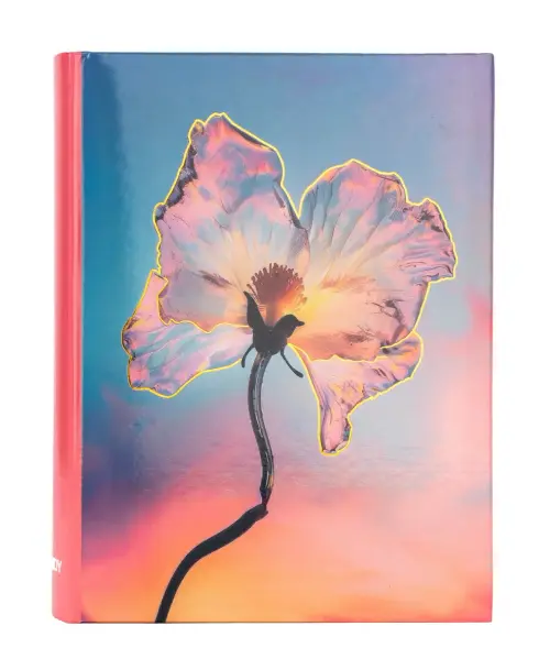 Fotoalbum B-46200S Silky 1