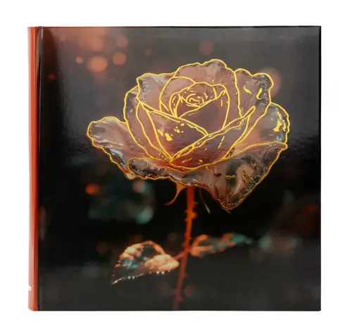 Fotoalbum B-46500S Frosty 1