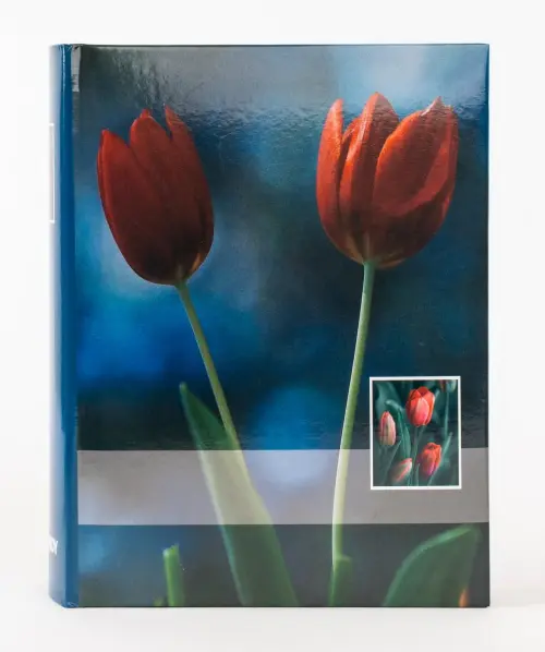 Fotoalbum B-46300/2S Magic 2