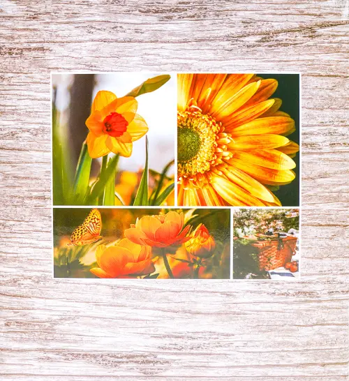 Fotoalbum DRS-50 Incolor 2