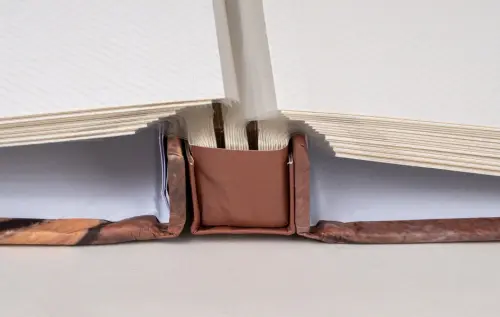 Fotoalbum DBLP-30 Firry 2