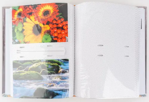 Fotoalbum B-46200S Ginko 1