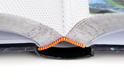 Fotoalbum B-46200S Ginko 2