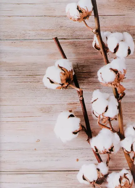 Fotoalbum B-46200S Wooden 4 bavlník PL