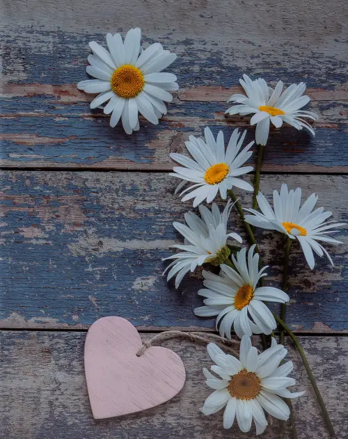 Fotoalbum MM-46304/2 Flower heart 1 PL