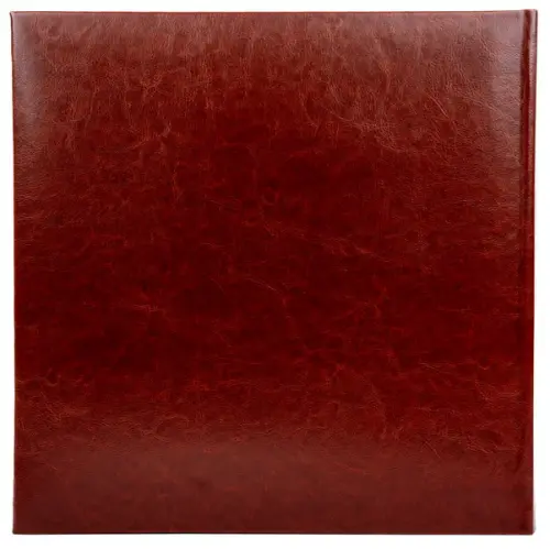 Fotoalbum KD-46500 Wood brown PL