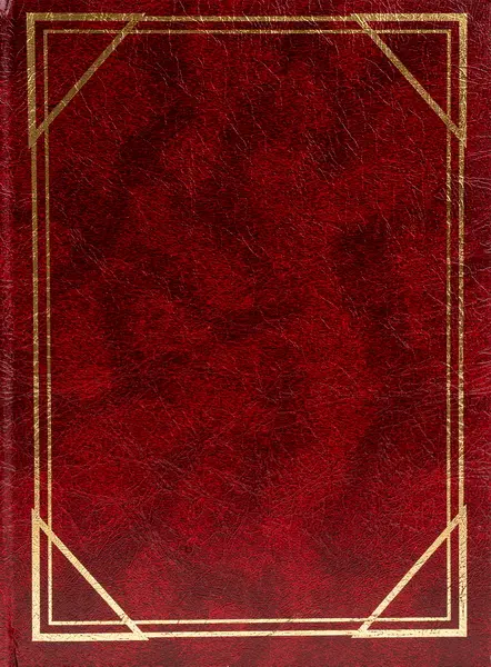 Fotoalbum B-35200S Vinyl 1 vínové